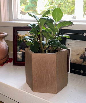 Hexagon Forever Planters