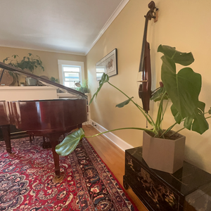 Hexagon Forever Planters