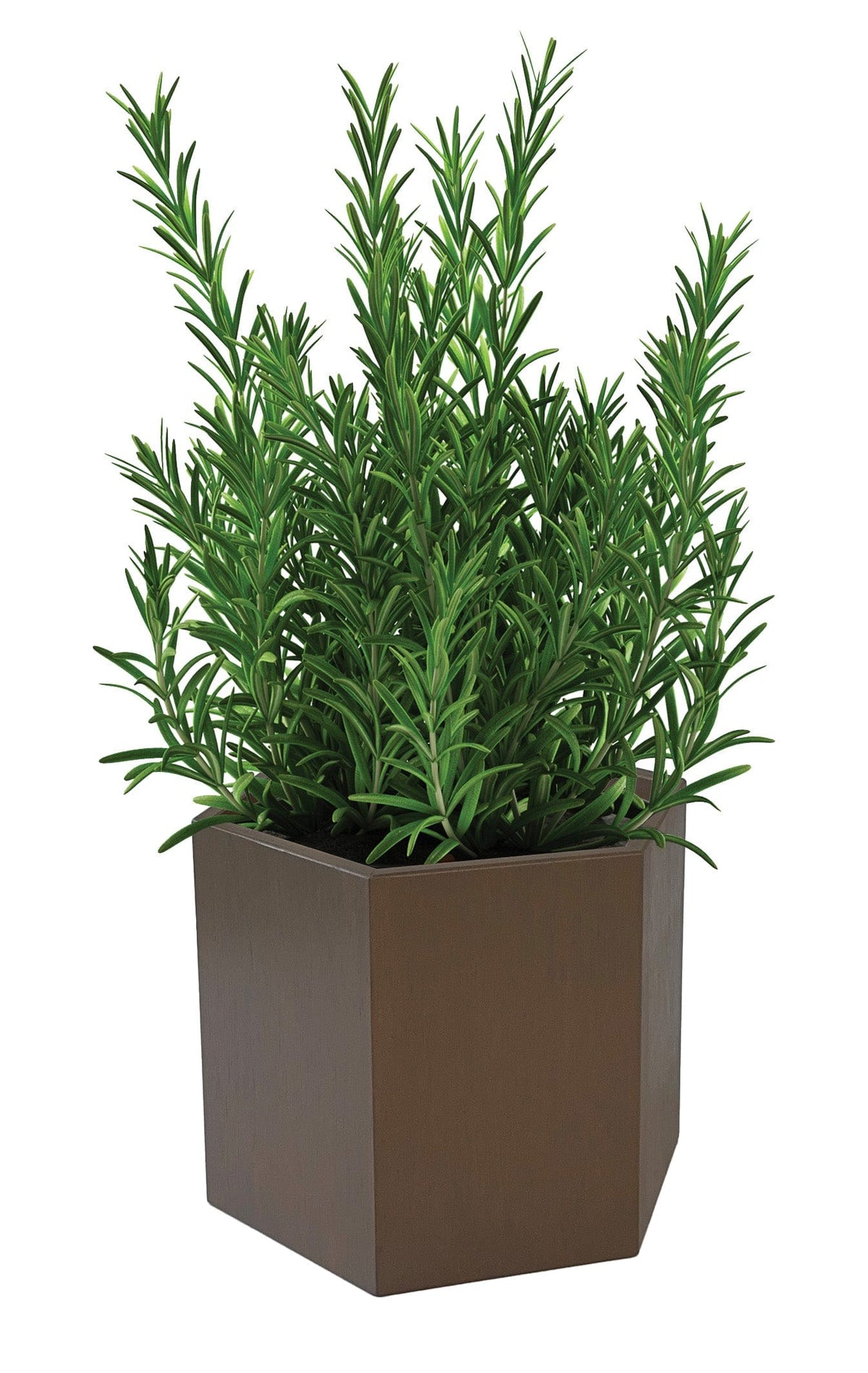 KODAMA Hexagonal Planter